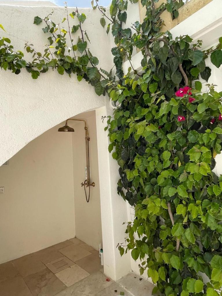 Casado Holiday home *